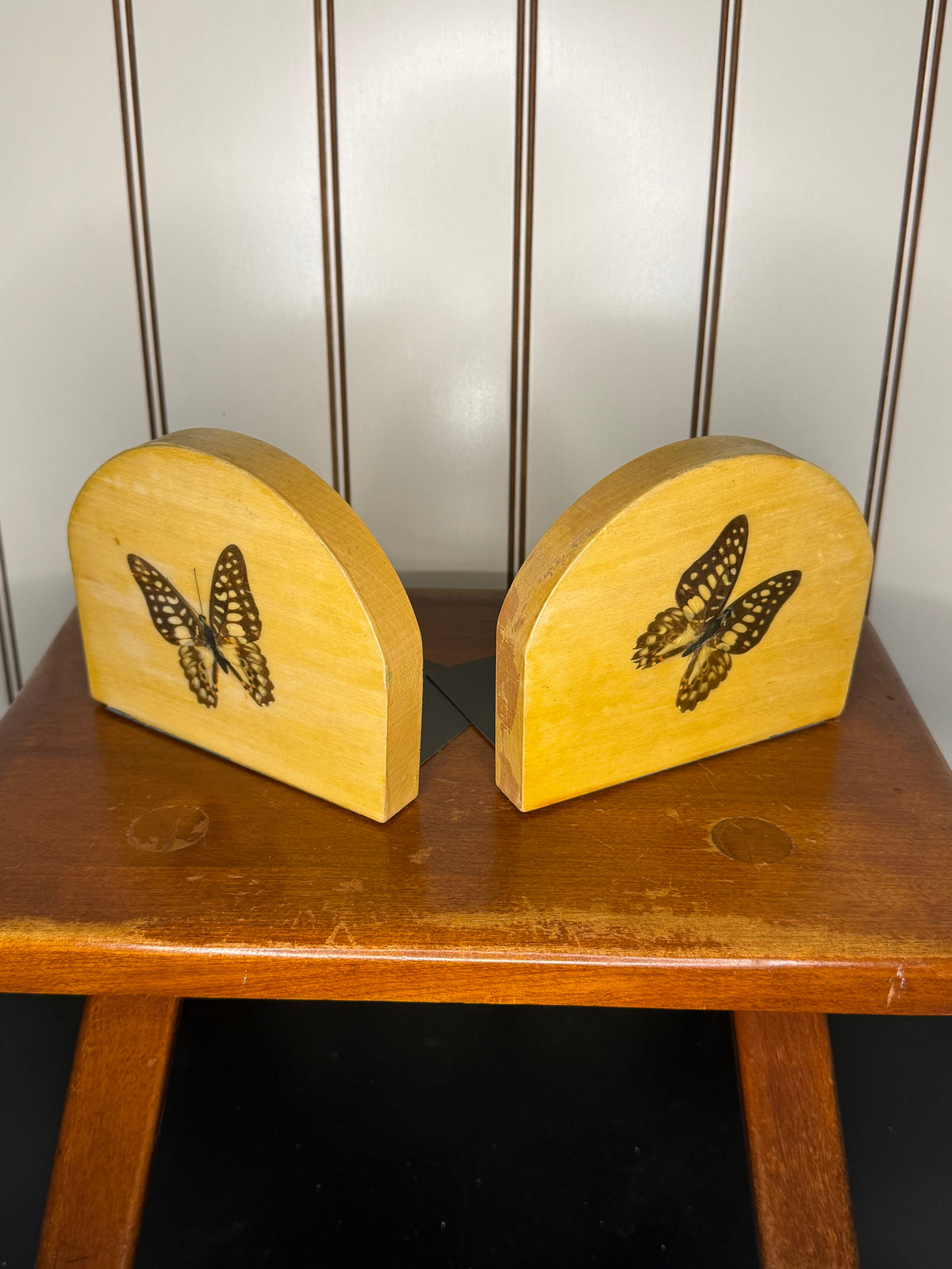 Real Butterfly Bookends
