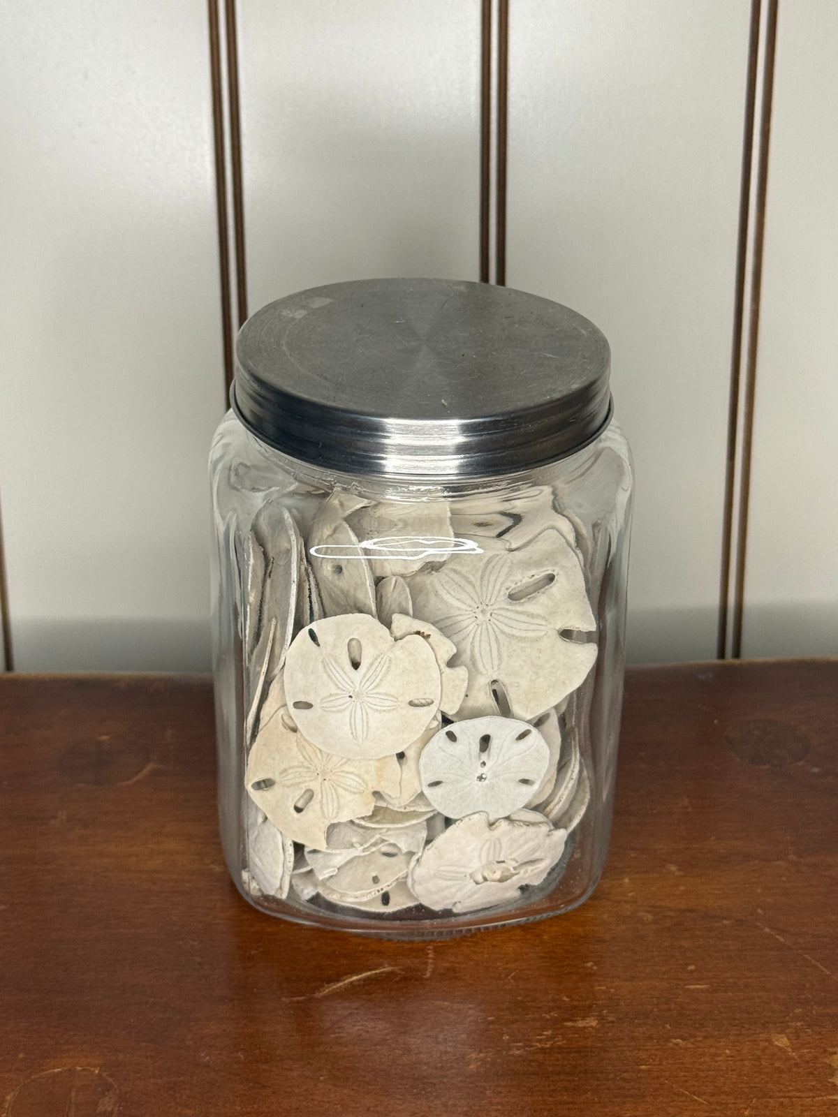 Jar of Sand Dollars