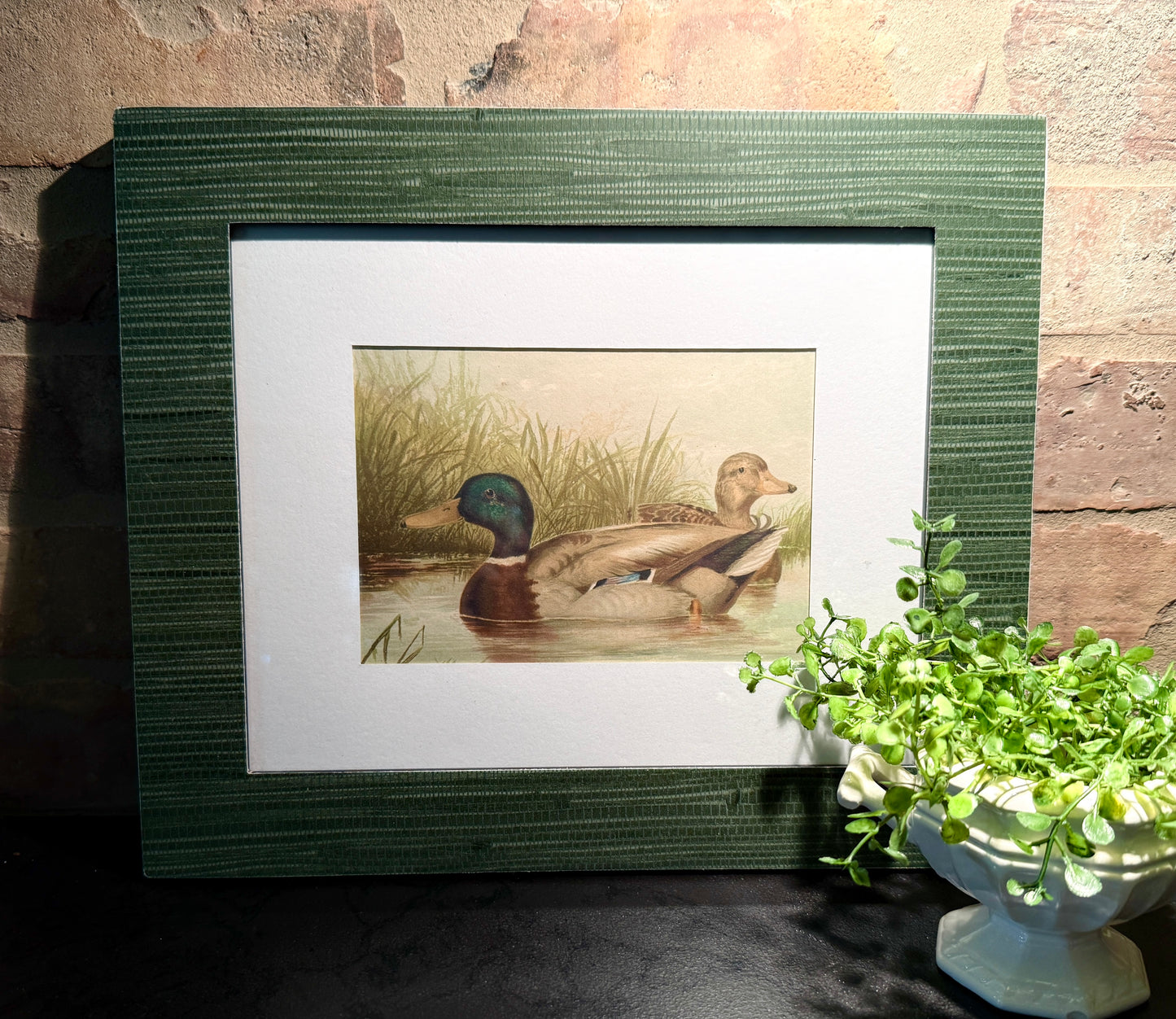 Vintage Duck Print in Faux Grasscloth Frame