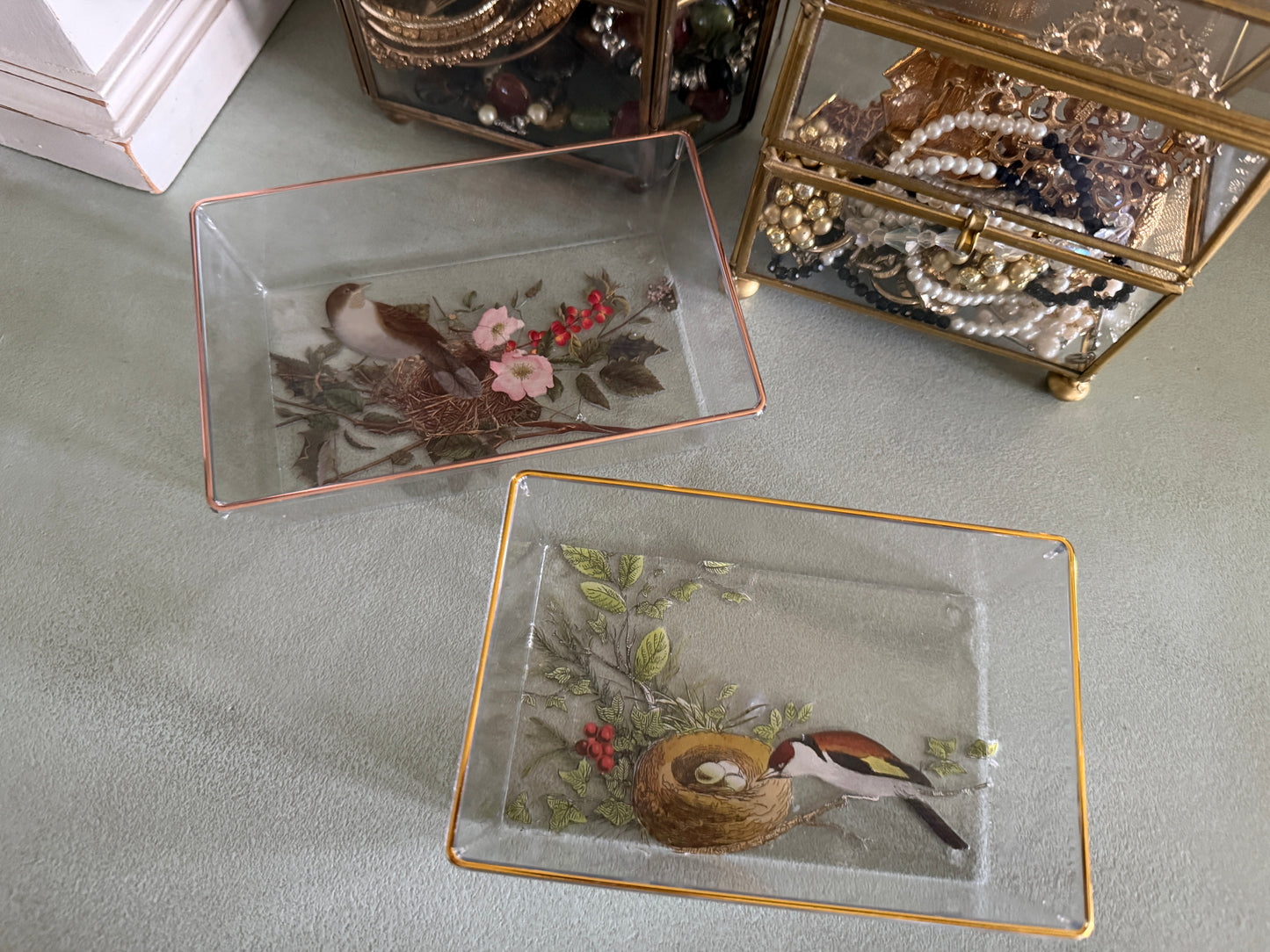 Set of Two Acrylic Trays with Bird Design