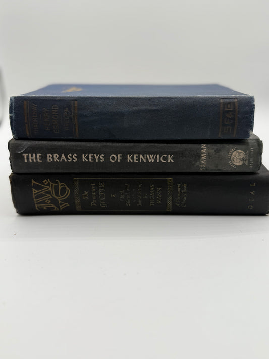 Set of 3 Vintage Blue Books
