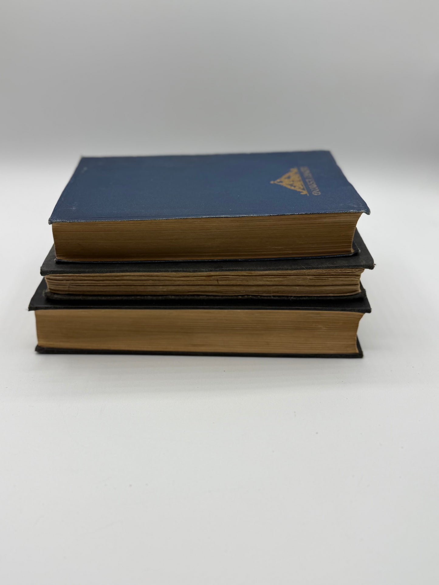 Set of 3 Vintage Blue Books