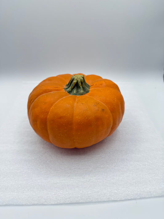 Realistic Decorative Pumpkin