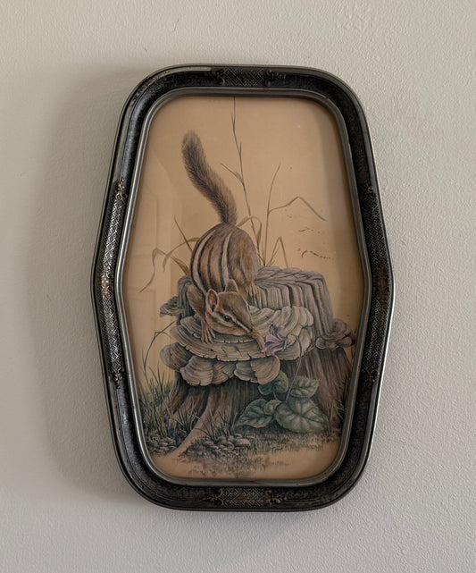Vintage Chipmunk Print in Bubble Glass Frame