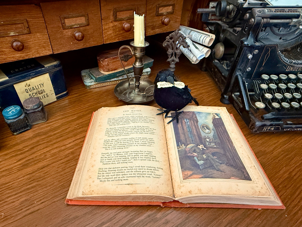 The Raven Book & Bird