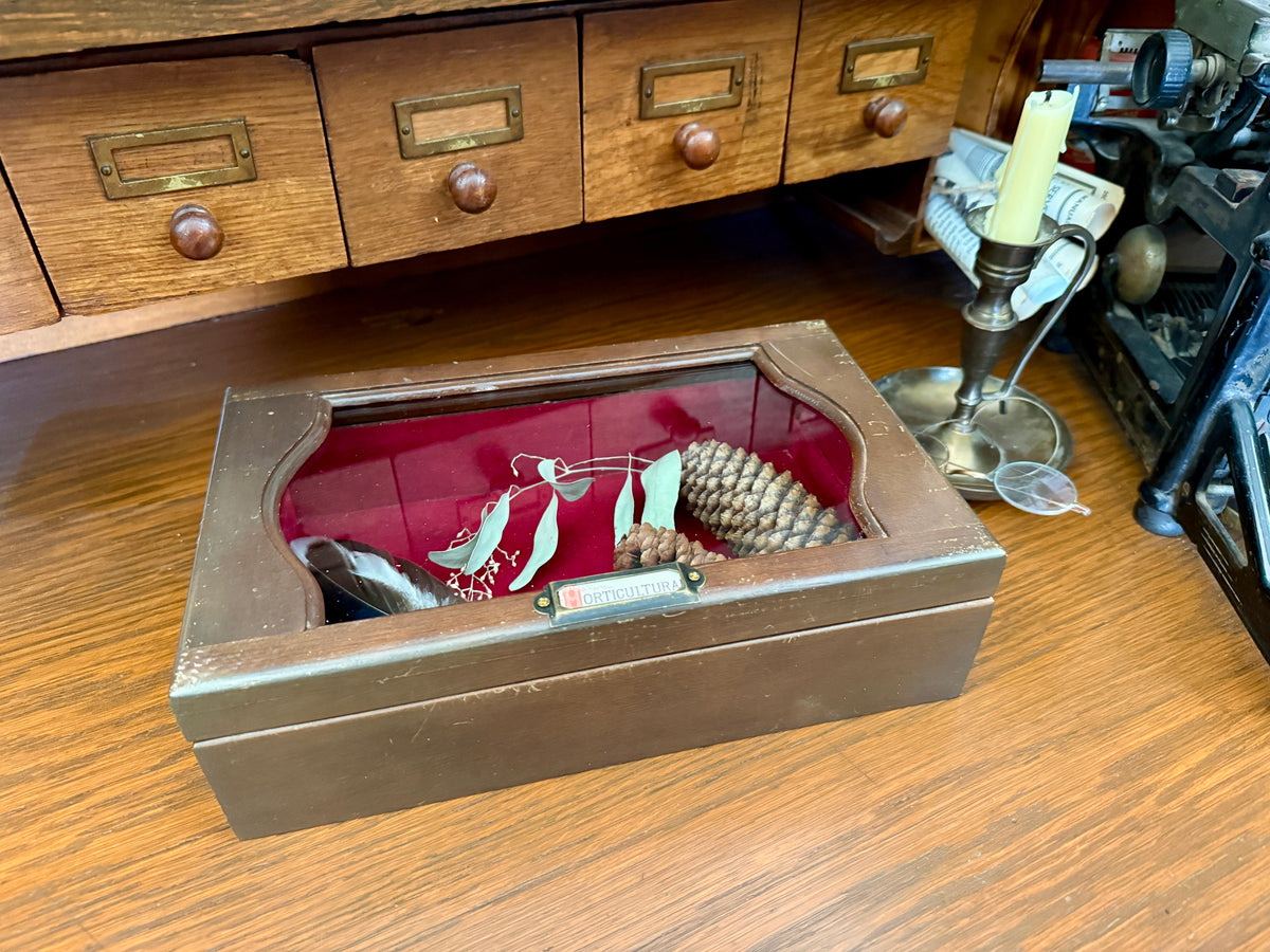 Specimen Box