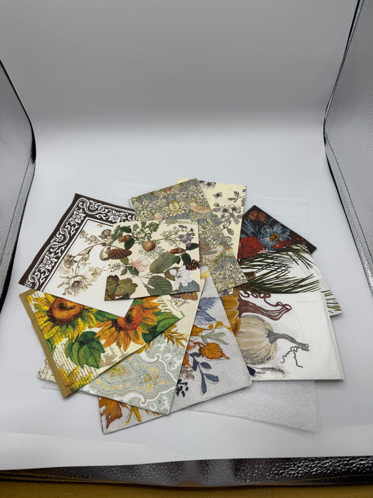 Fall Napkin Collection (10 different patterns)
