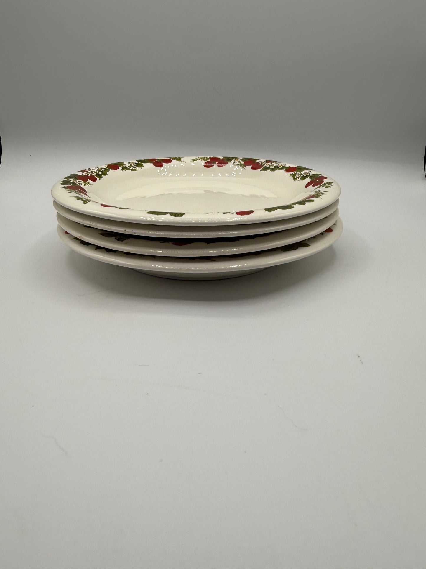 12 Piece Strawberry Plate Set