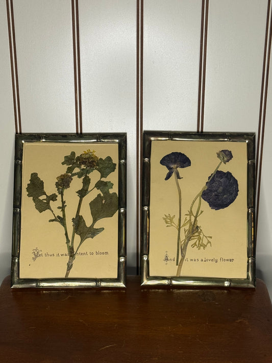Set of Two Pressed Botanicals
