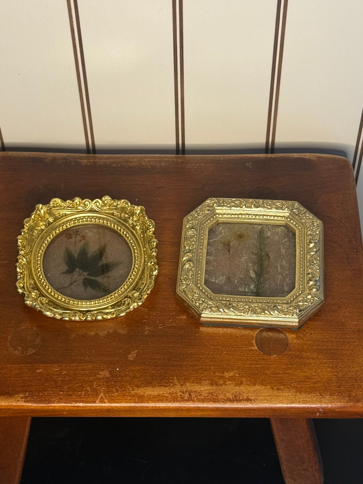 Miniature Gold Framed Botanical Art (set of 2)