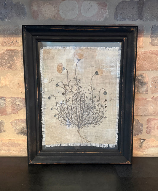 Framed Fabric Botanical