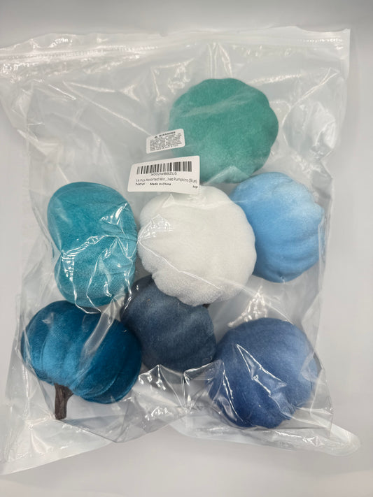 Variety Blue & White Pumpkins (7)