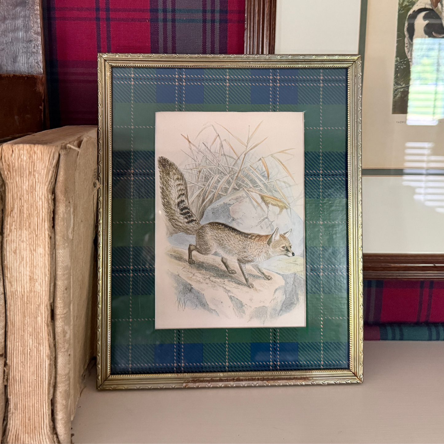 Fox Print with Plaid Mat