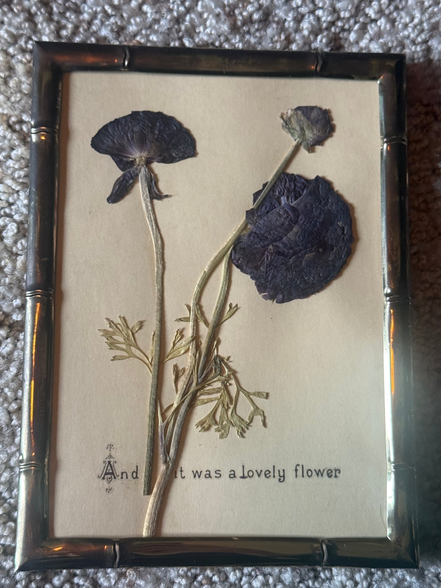 Set of Two Pressed Botanicals
