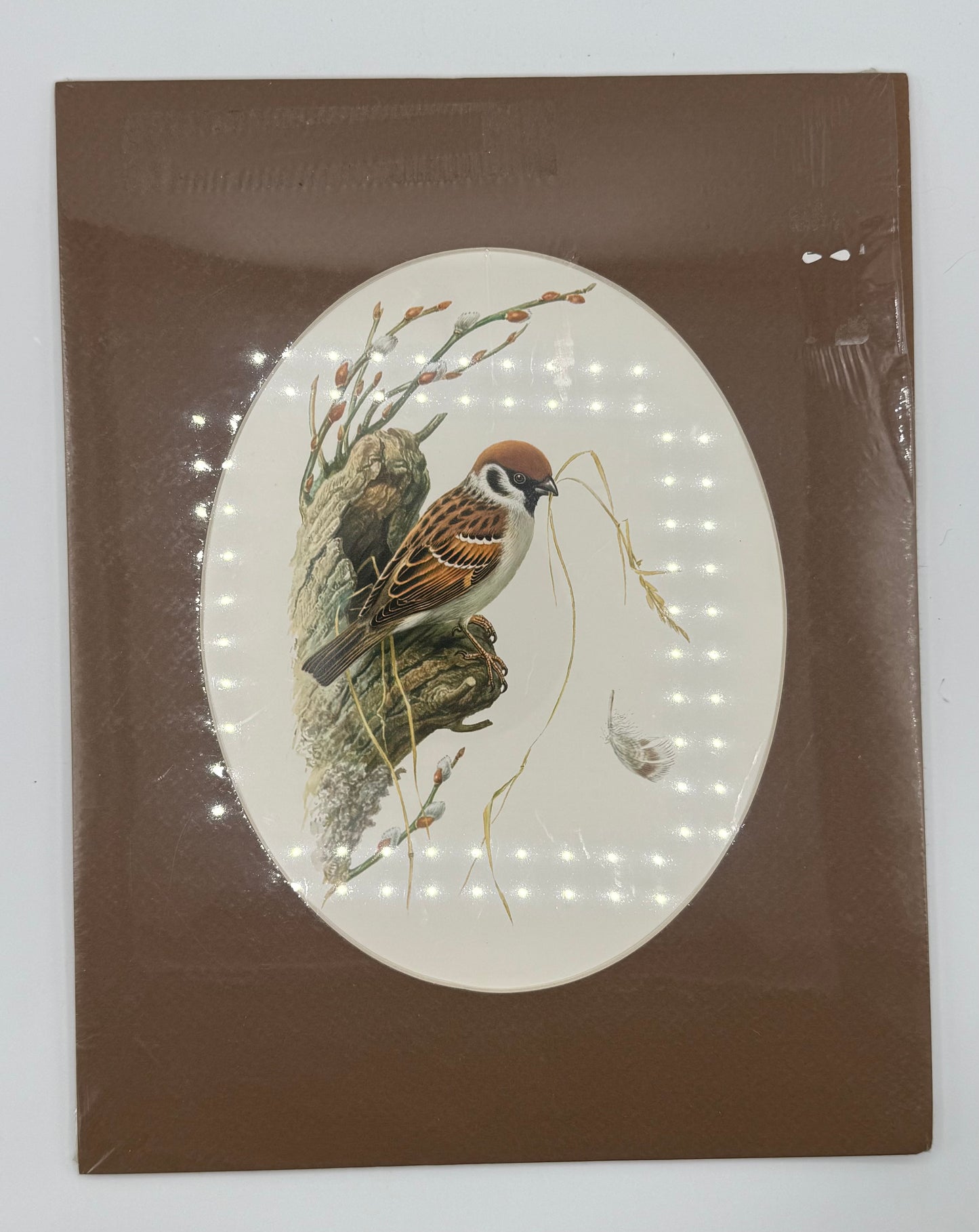 Bird Art Print with Brown Mat