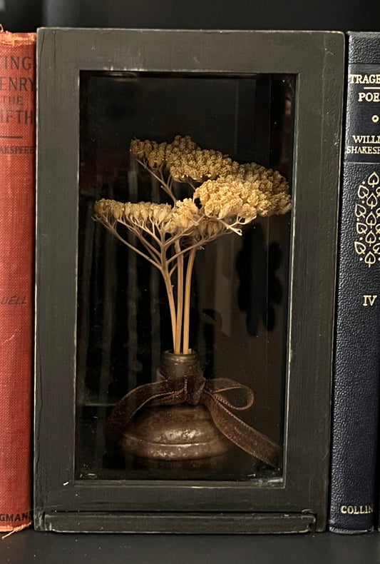 Dried Florals in Display Box