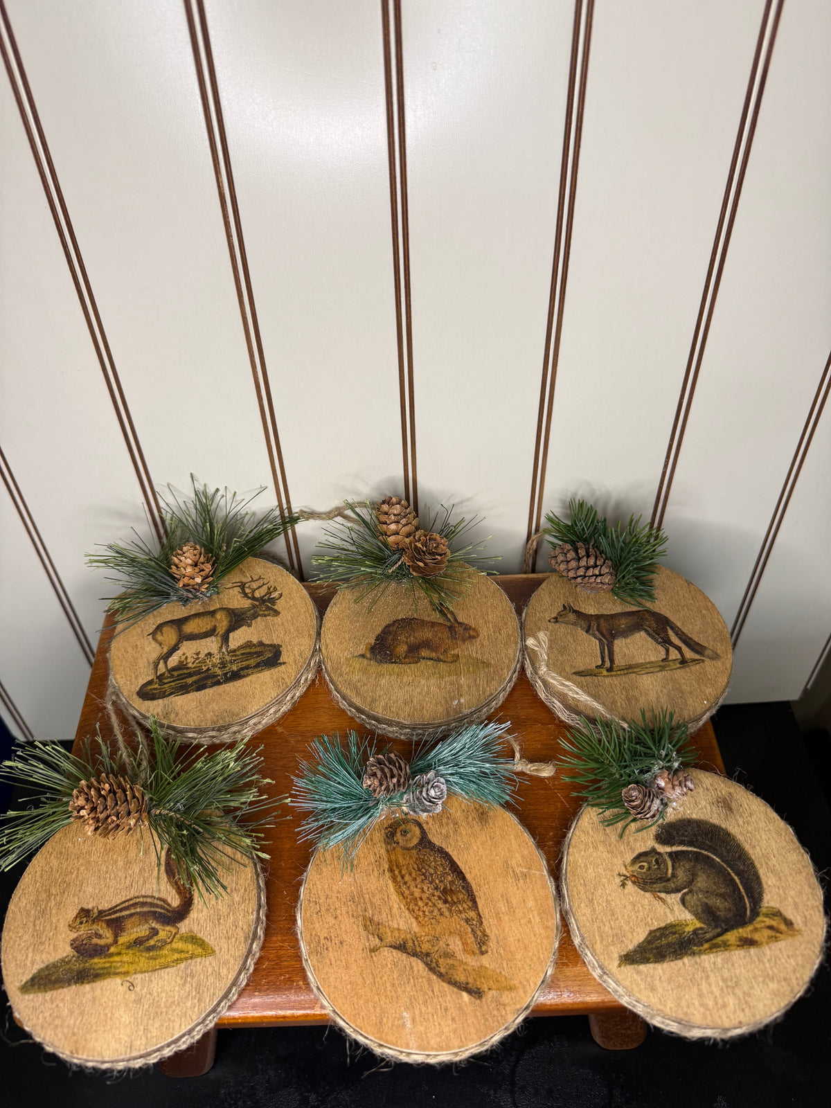 Woodland Animal Wood Slice Ornaments (set of 6)