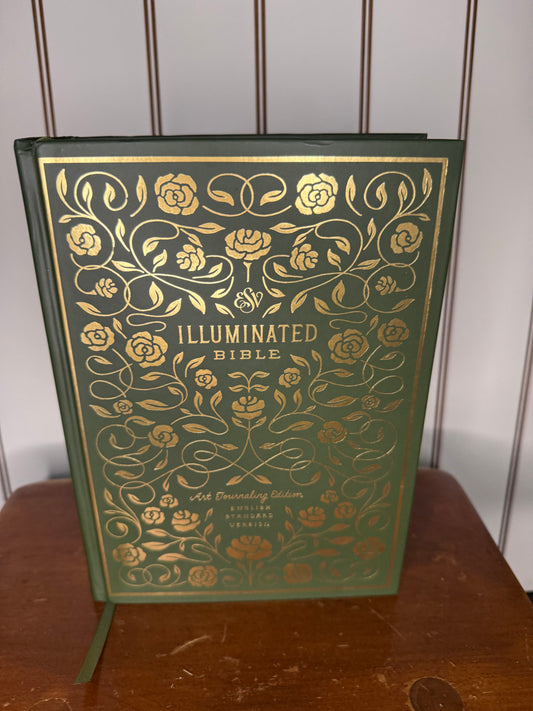 Beautiful Illuminated Bible
