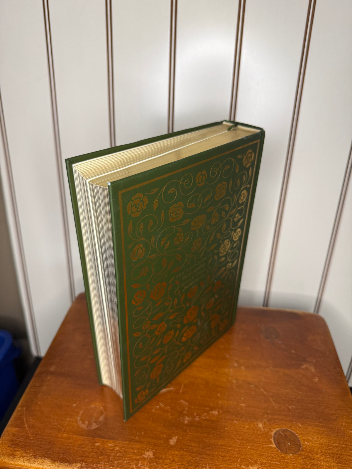 Beautiful Illuminated Bible